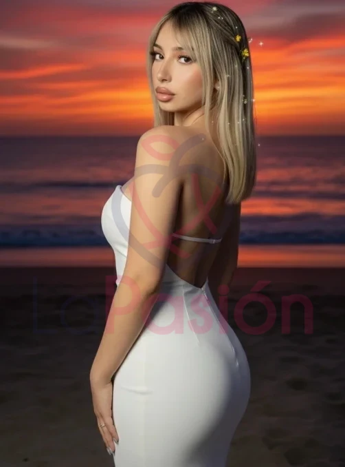 Escort chilena en santiago centro